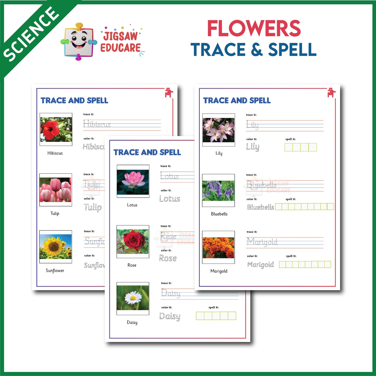 FLOWERS_TRACE & SPELL *