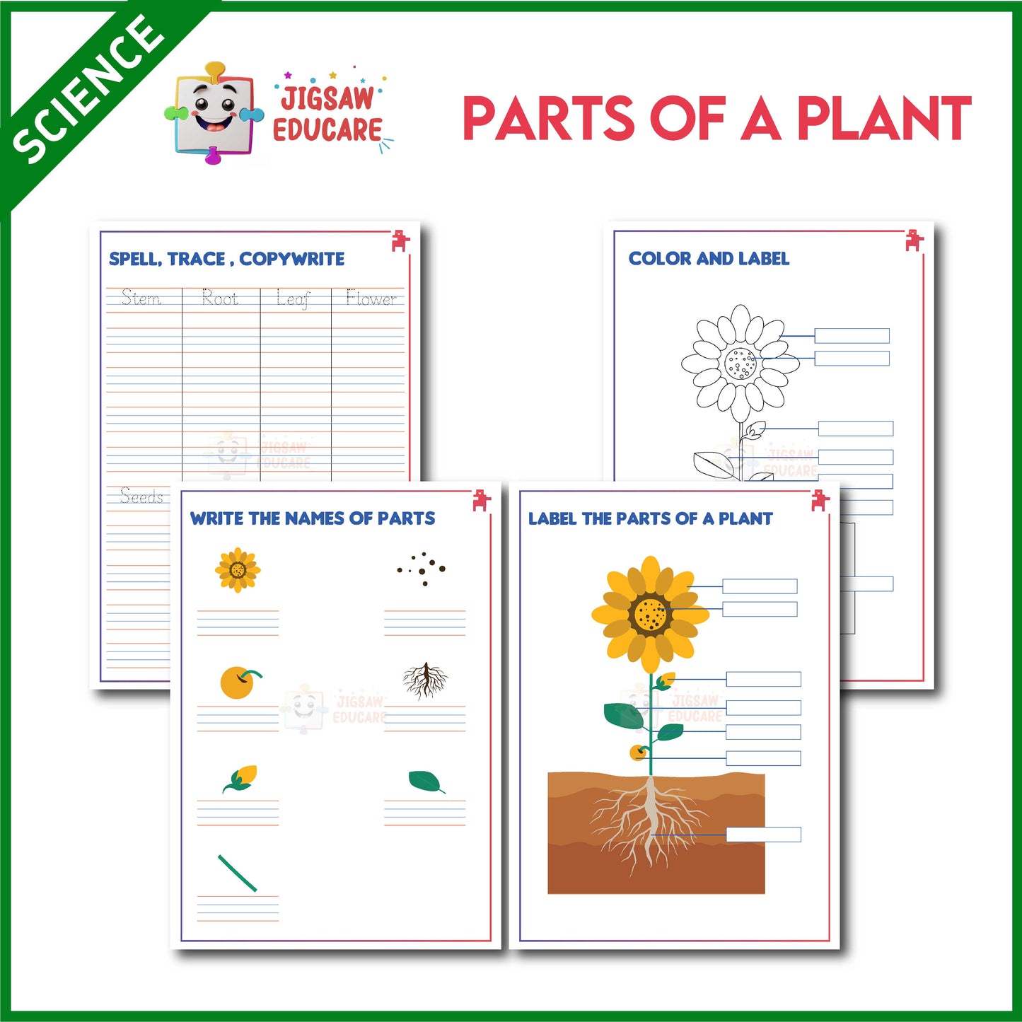 PARTS OF A PLANT *