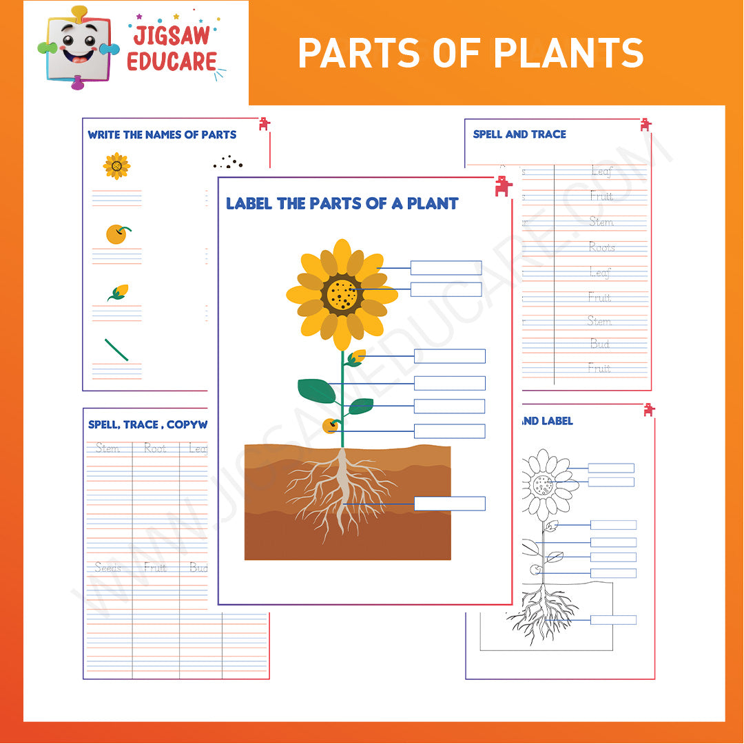 UKG WORKSHEET BUNDLE [PDF]