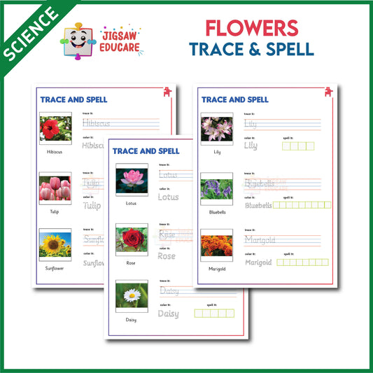 FLOWERS_TRACE & SPELL *